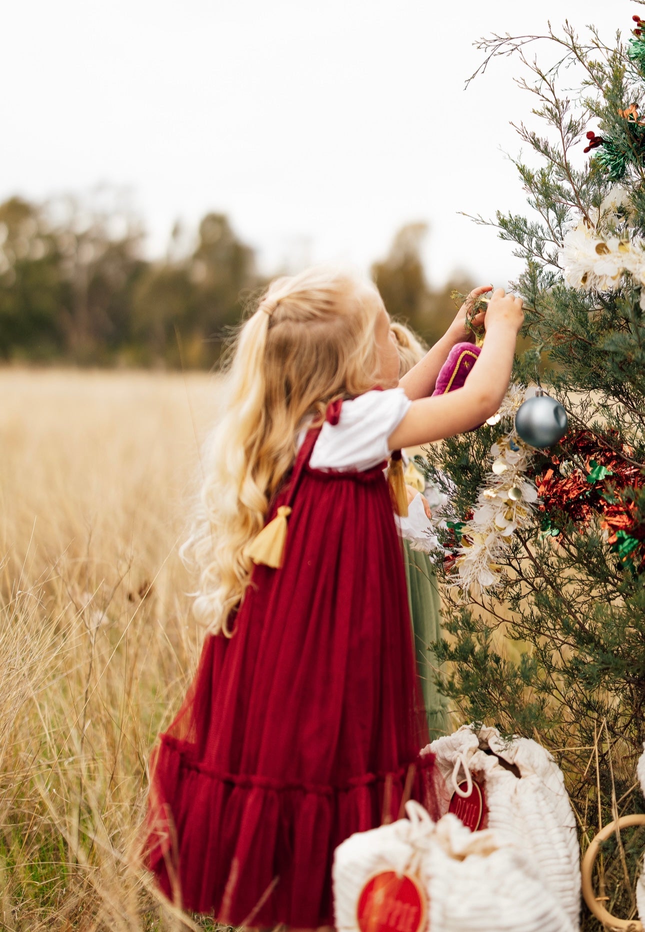 Tulle Christmas Dress