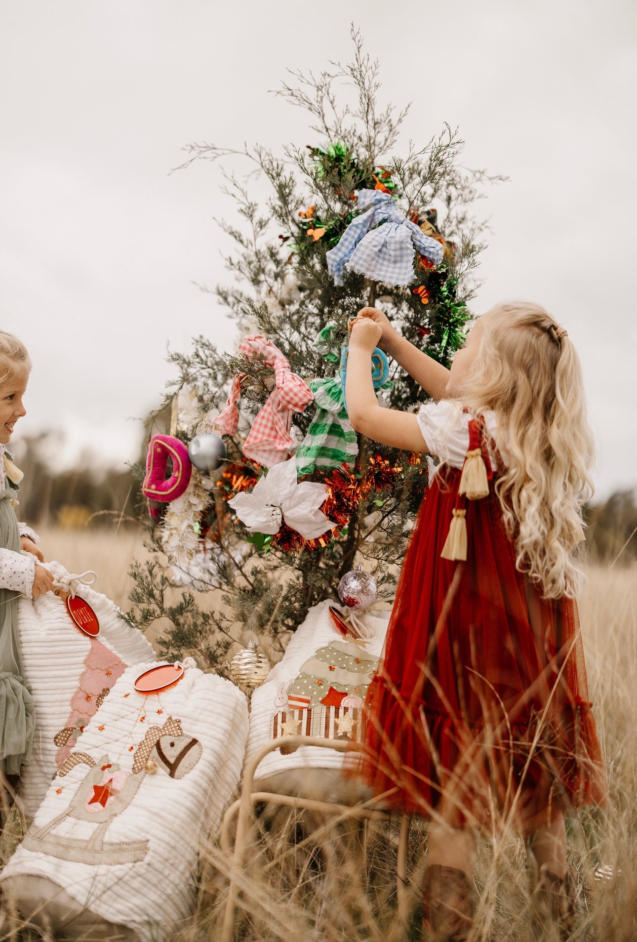Tulle Christmas Dress