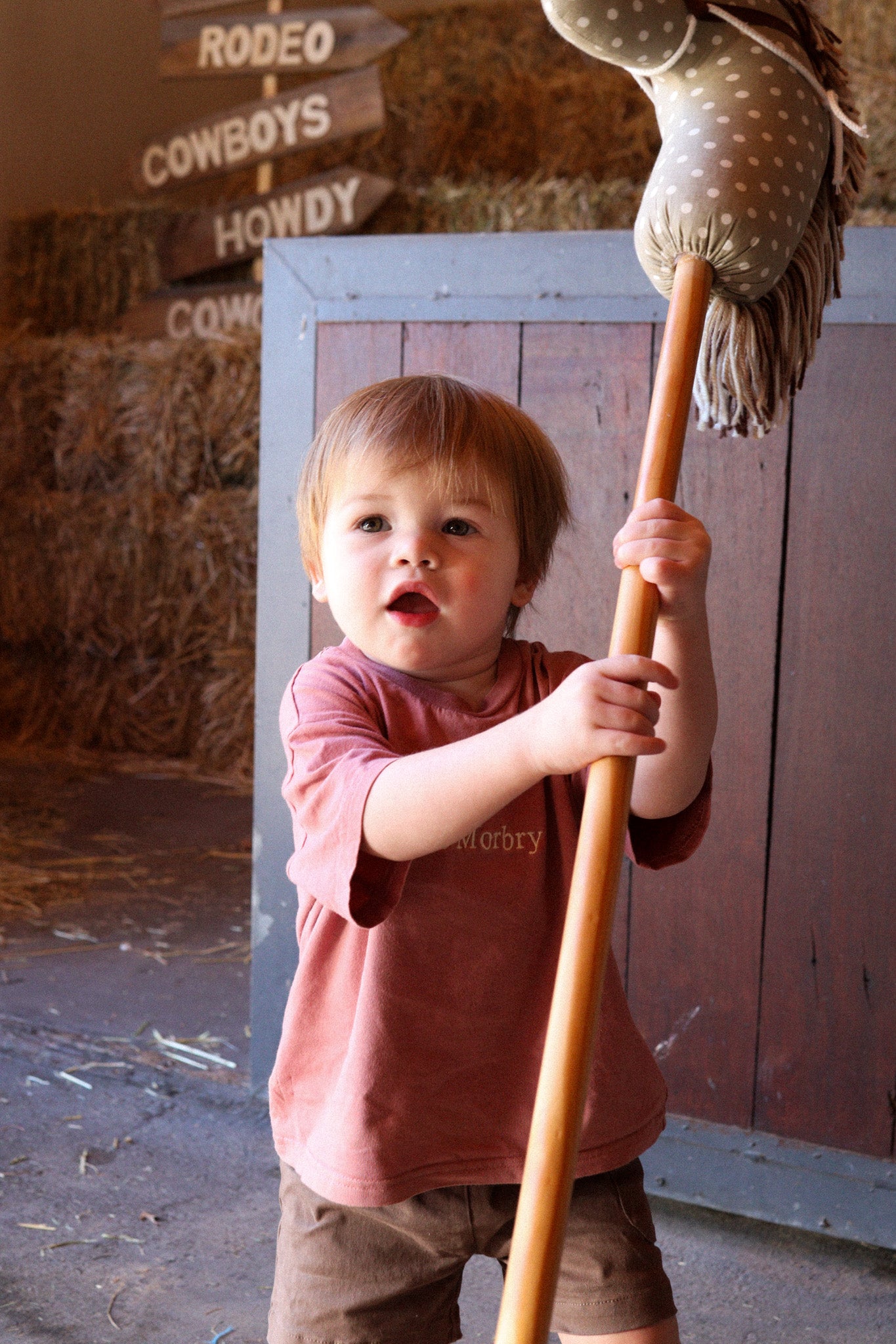 Rust Little Morbry T