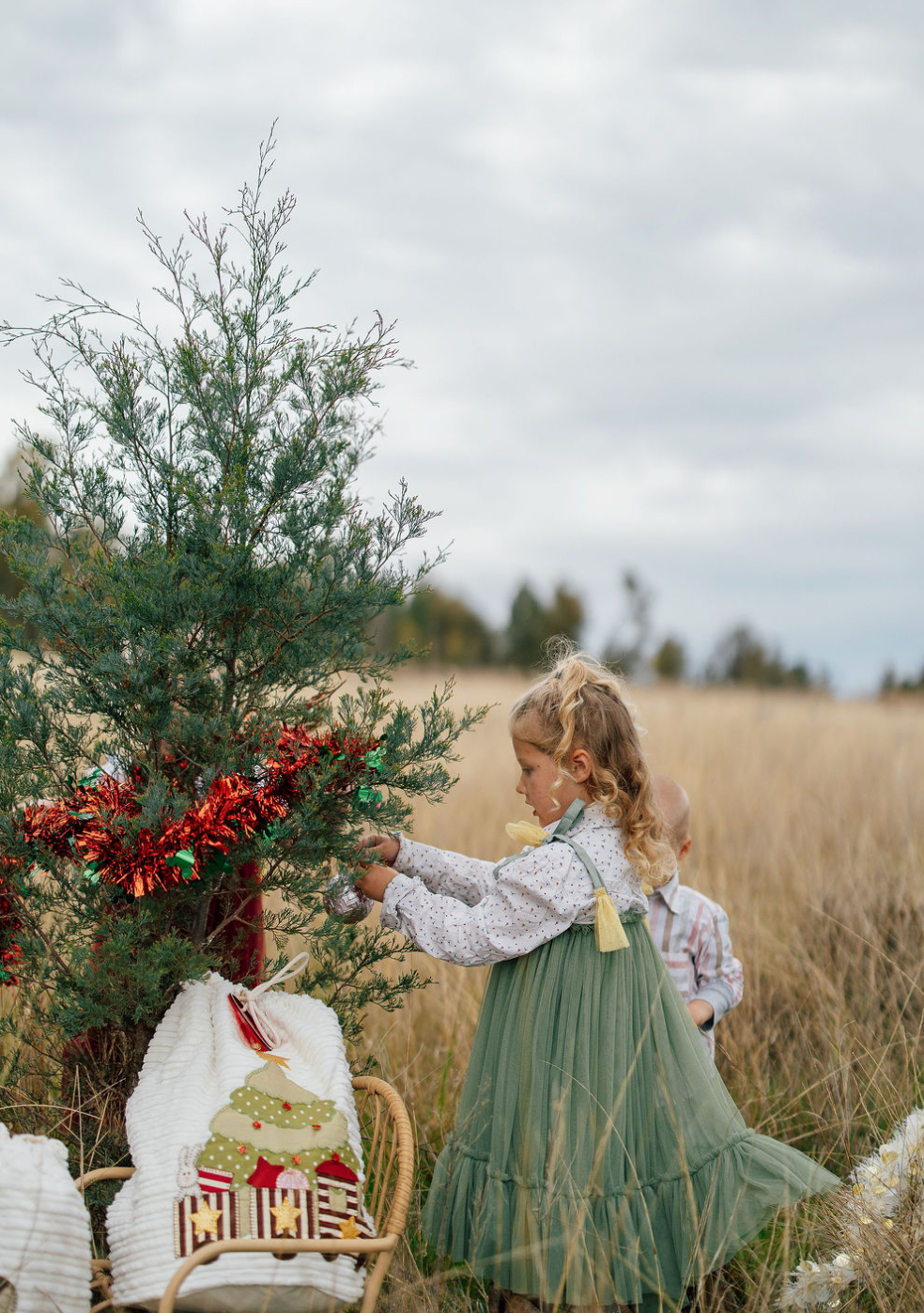Tulle Christmas Dress