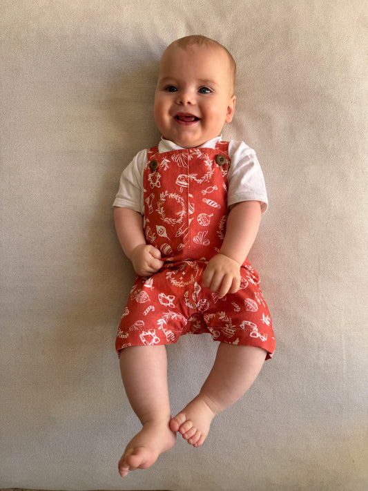 Christmas Overalls