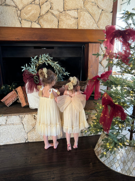 Tulle Christmas Dress