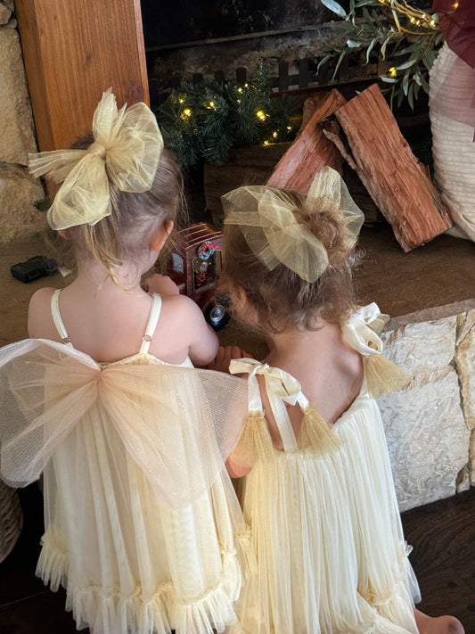 Angel Tulle Christmas Dress